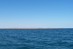 100_2441