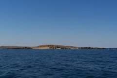 100_2445