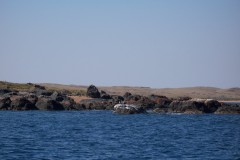 100_2449