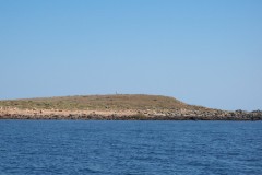 100_2452
