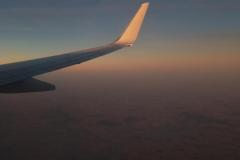 20221104_214219-1024x1365