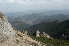 P_PICT0015