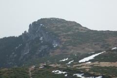P_PICT0016