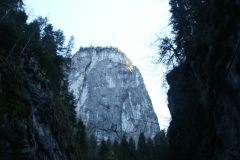 P_PICT0204