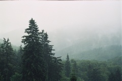 19AA013