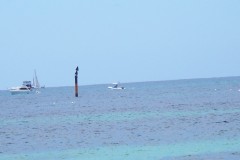 100_0451