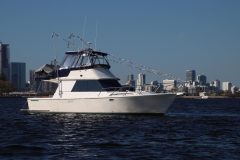IMG_9718-scaled