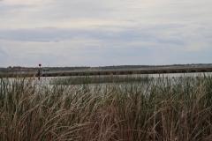IMG_6567