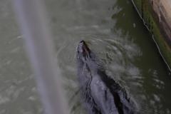IMG_6689