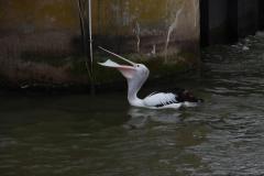 IMG_6757