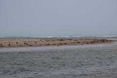 IMG_6909