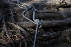 IMG_4991
