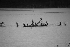 IMG_5782