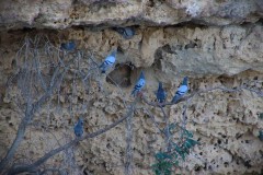 IMG_5858