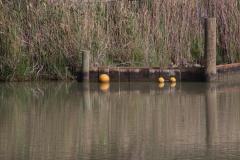 IMG_6189