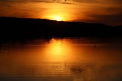IMG_6289