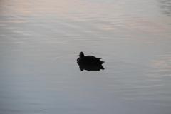 IMG_6320