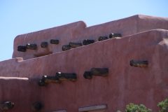 IMG_6454-scaled