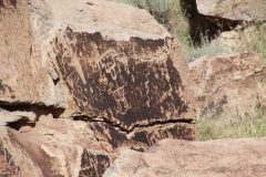 IMG_6600-scaled
