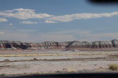 IMG_6633-scaled