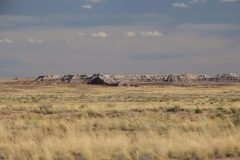 IMG_6660-scaled