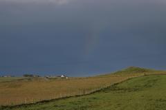 IMG_3601