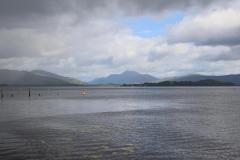 IMG_2548