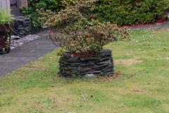 IMG_2635