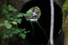 IMG_2715