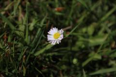 IMG_2729