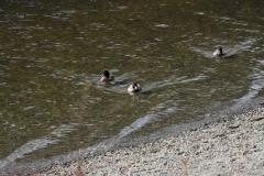 IMG_2759