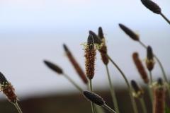 IMG_3801