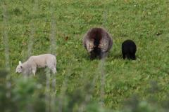 IMG_3832