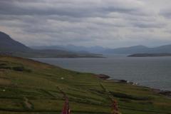 IMG_4764