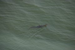 IMG_2754-scaled