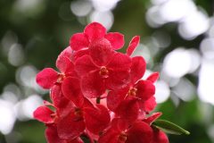IMG_3841-scaled