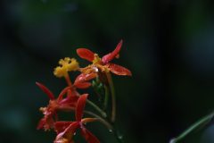 IMG_3847-scaled