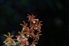 IMG_3851-scaled
