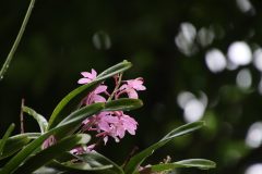 IMG_3854-scaled