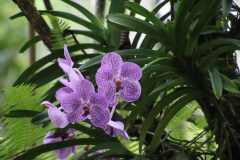 IMG_3868-scaled