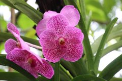 IMG_3872-scaled