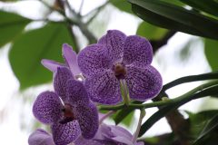 IMG_3881-scaled