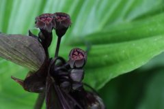 IMG_3883-scaled