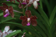 IMG_3885-scaled