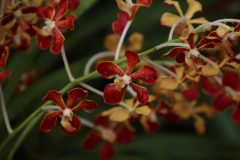 IMG_3887-scaled