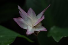 IMG_3892-scaled