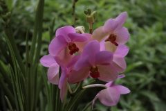 IMG_3909-scaled