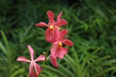 IMG_3914-scaled