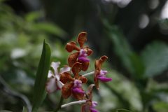 IMG_3927-scaled