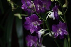 IMG_3929-scaled